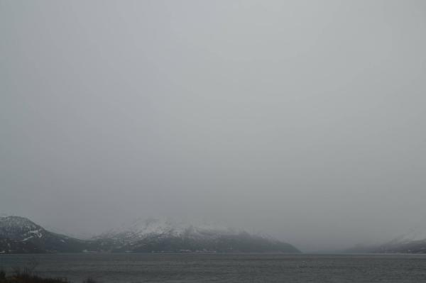 Bilde fra Langfjorden, retning nordøst
