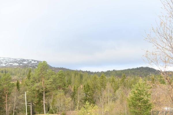 Image from Hemnekjølen, direction west