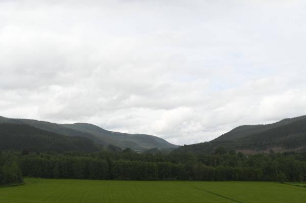 Bilde fra Meråker, retning vest