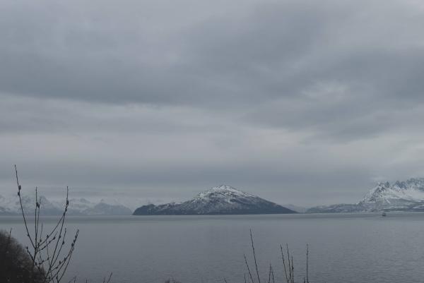 Bilde fra Skjervøy (ENSC), retning nordøst