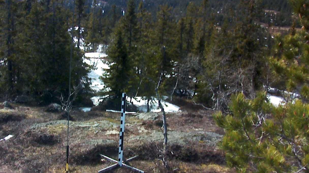 Webcam Kyrkjebygheia, Nissedal, Telemark, Norwegen