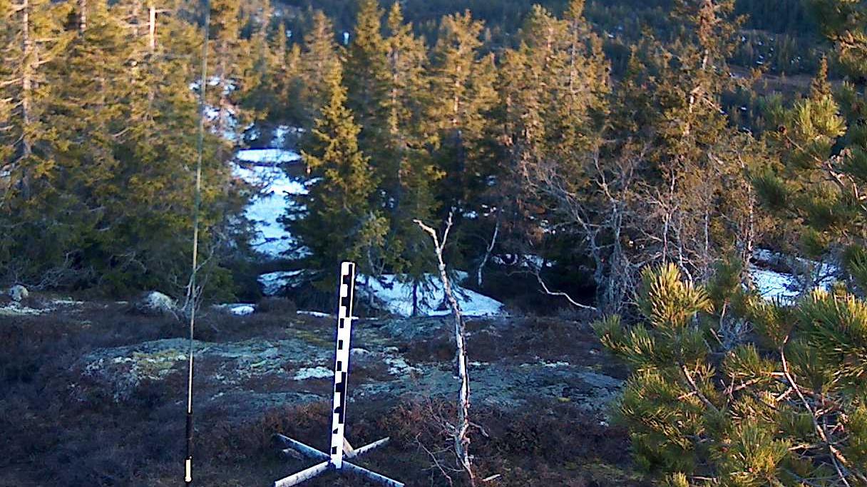 Webcam Kyrkjebygheia, Nissedal, Telemark, Norwegen