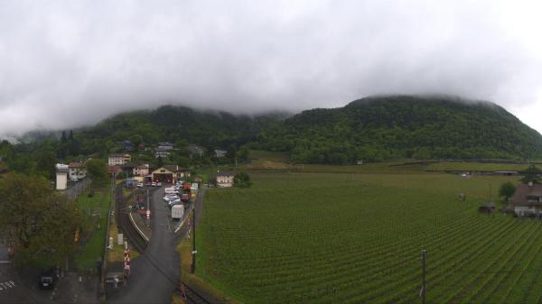 Image from Aigle